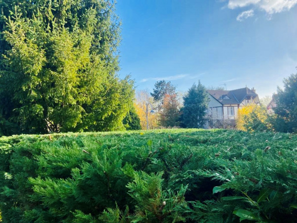 Entretien de jardin à Bagneux