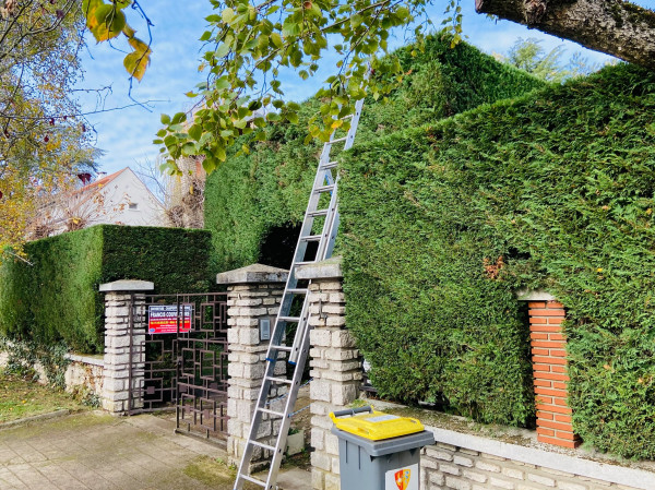 Jardinage et aménagement paysager à Bagneux