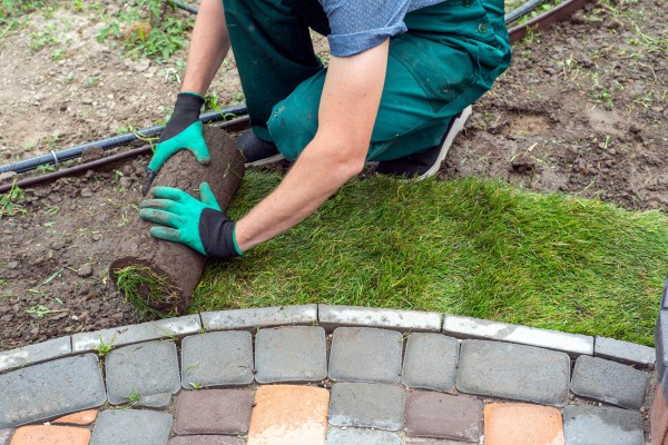 Création et entretien de jardin à Bagneux